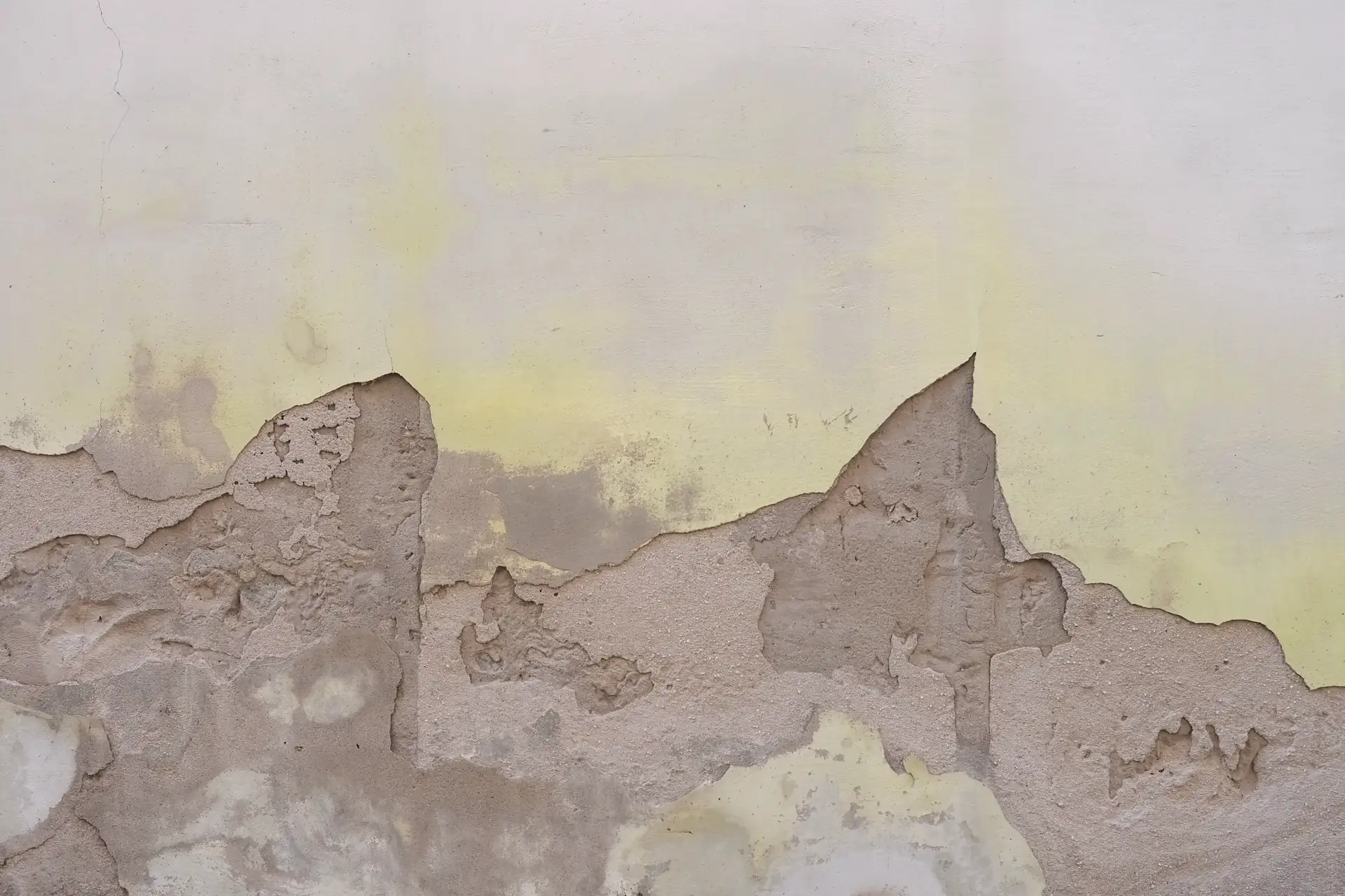 Pared con humedad por capilaridad y revestimiento desprendido en Ferrol
